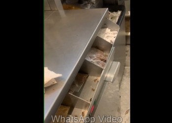 Vídeo mostra infestação de baratas em quiosque do McDonald's no Teresina Shopping